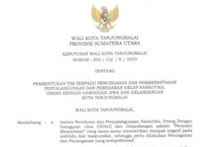 Keputusan Wali Kota Tanjungbalai Nomor 300250K2025